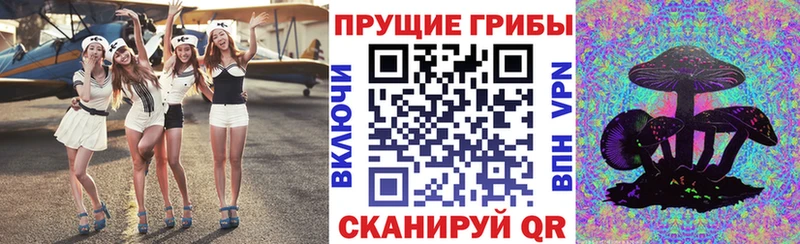 закладка  Саратов  Псилоцибиновые грибы мицелий 